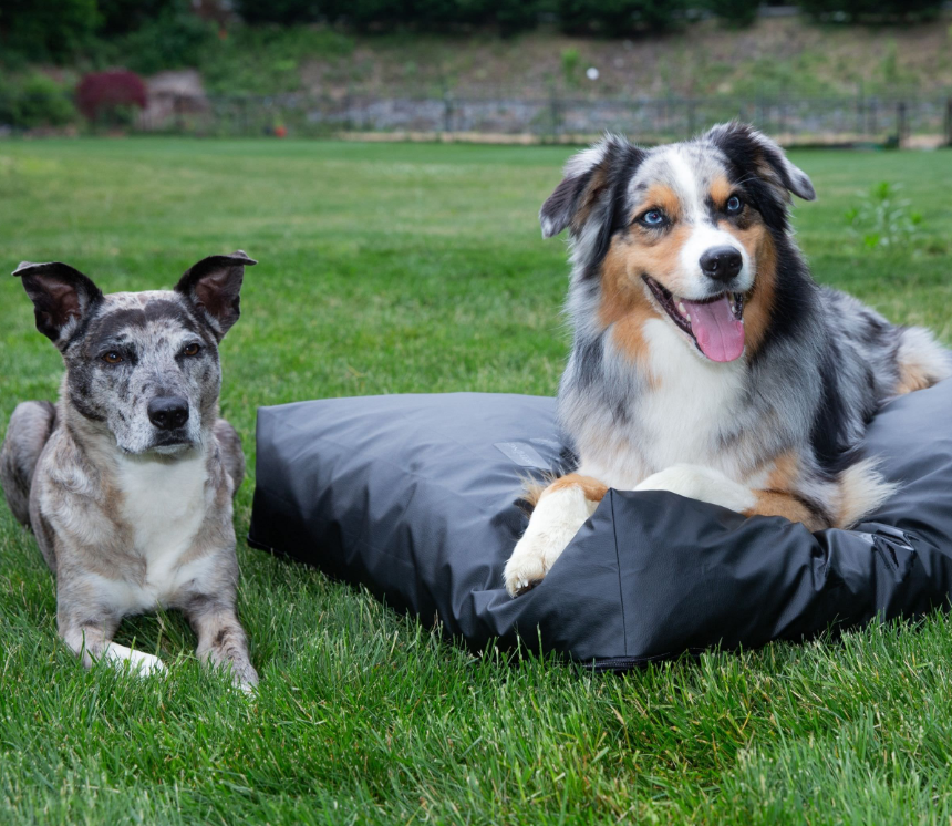 Pet Bed Cover Kit