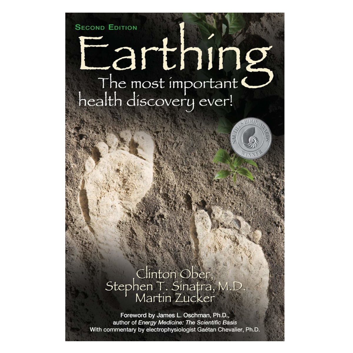 Earthing Book